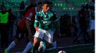 Jugador de Santiago Wanderers chocó en su vehículo rumbo al entrenamiento