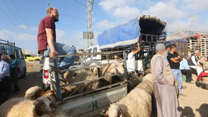   Cisjordania: Palestinos se preparan para la Fiesta del Sacrificio, la mayor fiesta musulmana 