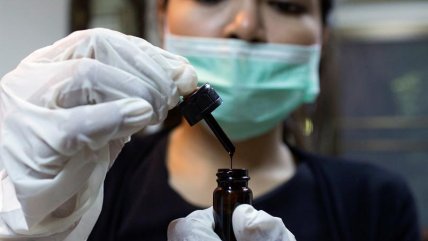   Partió el proceso para legalizar la marihuana con fines medicinales en Tailandia 