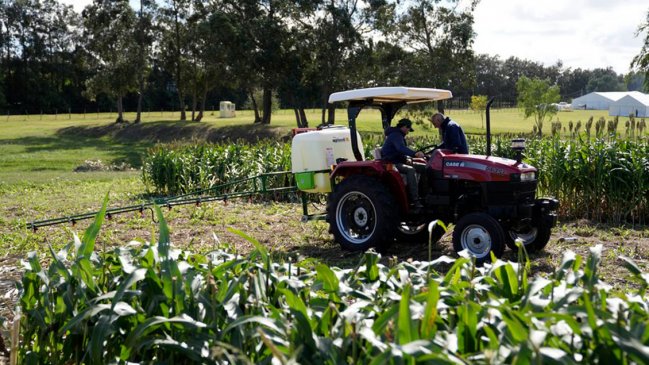   Falta de fertilizantes por guerra lleva a Latinoamérica a buscar alternativas 