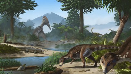   Descubren una nueva especie de dinosaurio enano que habitó en Transilvania 