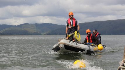   Sernapesca capacitó a pescadores sobre maniobras de desenmalle de cetáceos 