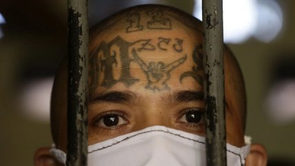  Más de 20 miembros de la Mara Salvatrucha fueron detenidos en Nueva York  