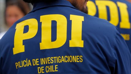   Descubren perros desnutridos e infestados en pulgas: Detuvieron a su dueño 