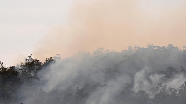  Australia lucha contra incendios mientras advierte de inundaciones repentinas  