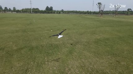   China presenta un avión que imita el vuelo de las aves 