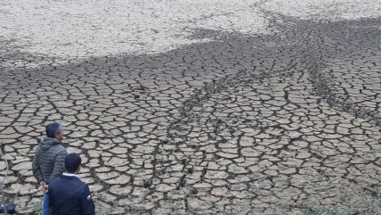   Directora de programa ONU para el Medioambiente está 