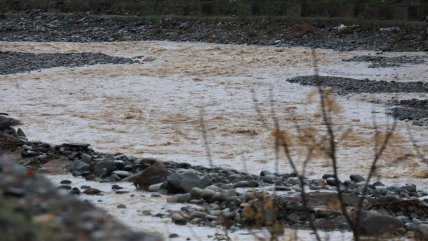   Más de 750 productores agrícolas de Ñuble están afectados por lluvias 