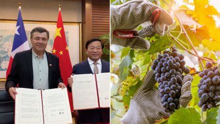   Chile y China firman acuerdo para fortalecer el trabajo agrícola 