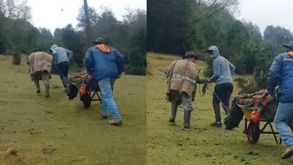   Paciente grave fue trasladado en carretilla en Panguipulli: Ambulancia no le dio prioridad 